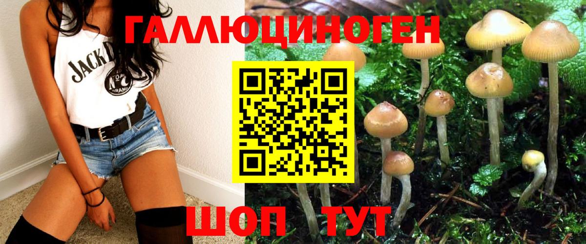 Псилоцибиновые грибы MAGIC MUSHROOMS Сатка
